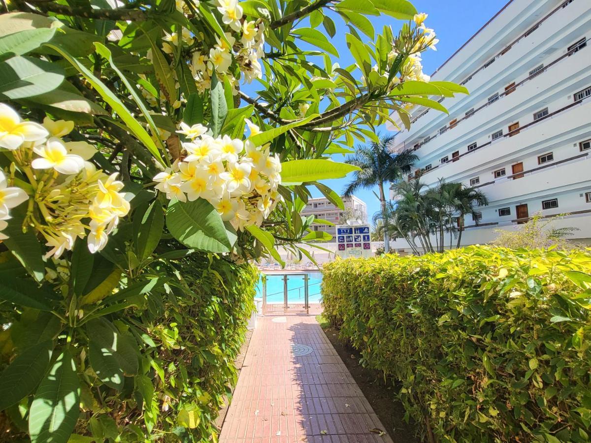 Las Camelias Apartments Playa del Inglés Esterno foto